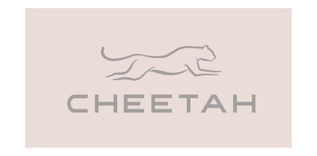 5% OFF at Selected Cheetah Stores